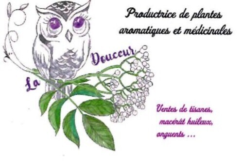 plantes aromatiques Arnac la Poste